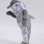 Gray Dolphin / 120