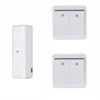 White / Dual remote control / USB