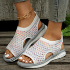 Color / Size35
