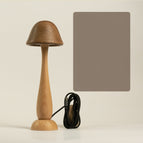 Long Style / Plug in / USB