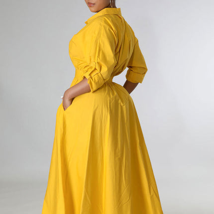 Casual Long Sleeve Plus Size Women's Shirt
