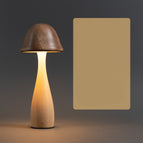 Short Style / Lithium / USB