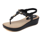 Black / 35
