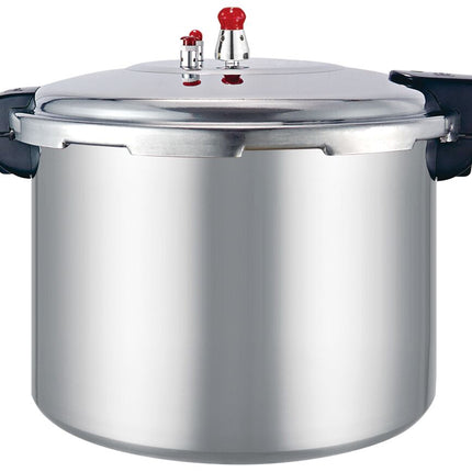 Sleek, Modern, High-Capacity Gas Induction Cooker – A Universal Design