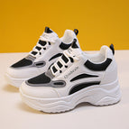 Black / 35