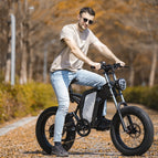 Spoke Wheel Starry Grey / 10AH 40KM / EU
