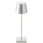 Silver / Usb