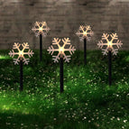 One for five snowflakes / Solar type