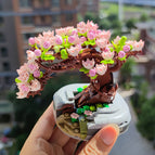 Cherry blossom / No accessories