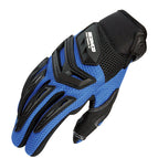 Blue / Other