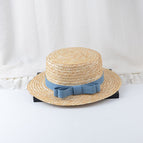 Straw Butterfly / Adult