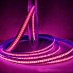 Pink light / DC 12V 8wide320D
