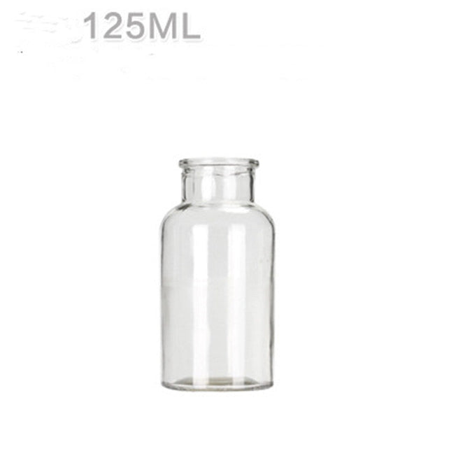 Hydroponic Plant Glass Bottle Living Room Decorations