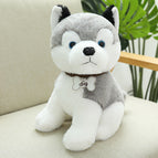 Husky / 22cm