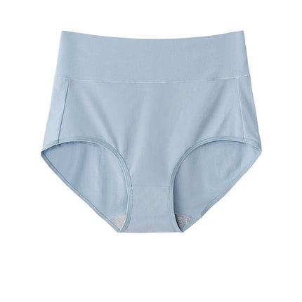High Waist Briefs Plus Size Fat