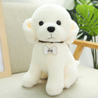 White / 22cm