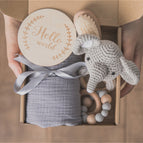 Elephant suit B