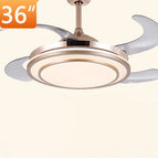 36in9099 gold / Variable frequency plate