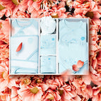 Light blue 12piece set / 52cm