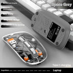 Gray / Single Mode