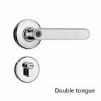 Silver / Double tongue