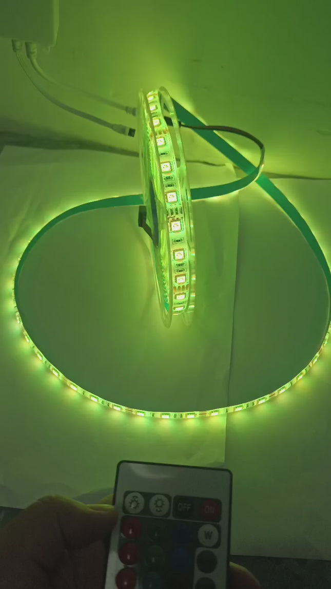 RGB LED Strip Light 5050 - 5M Waterproof IP65 | 12V DC | 110V Plug