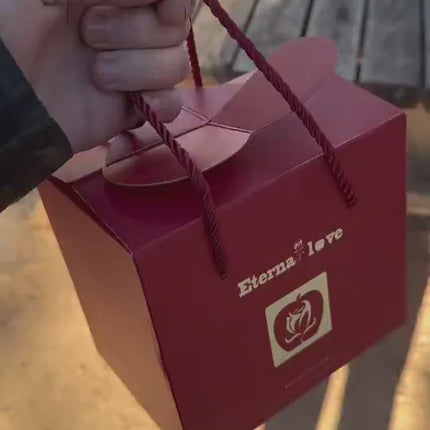 1.mp4