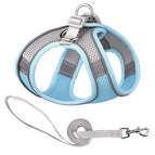 Light Blue / XXS